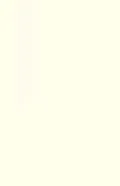 Lacquered Front – White High Gloss