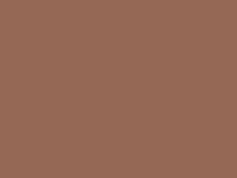 Mocha Mousse mat